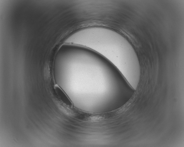 X0000072490158200607140919