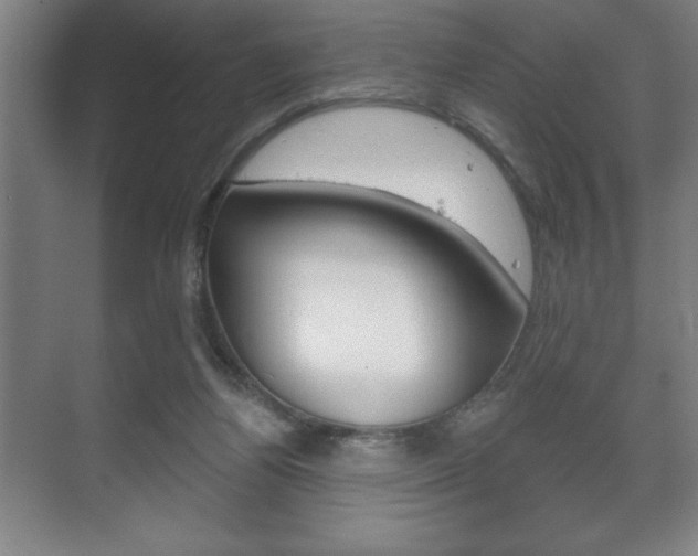 X0000072490164200607140919