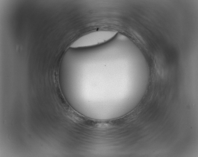 X0000072490169200607140920
