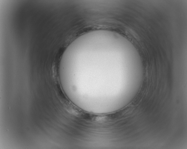 X0000072490173200607140920