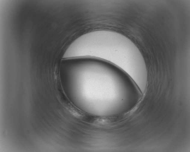 X0000072490174200607140920