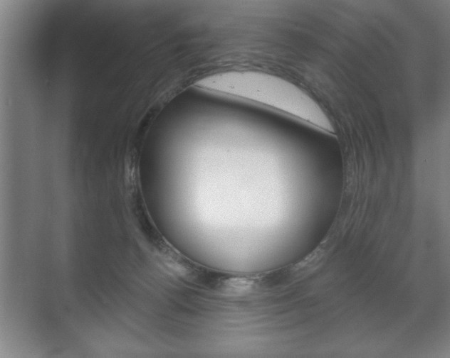 X0000072490176200607140920