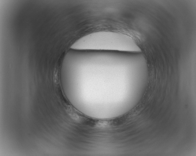 X0000072490177200607140920