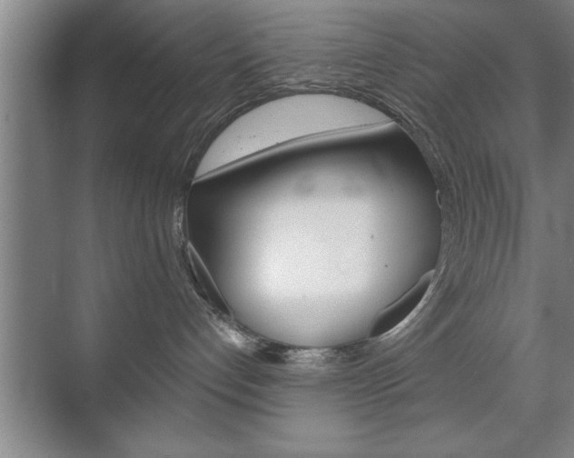 X0000072490192200607140920