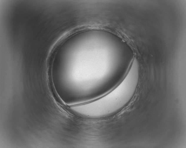 X0000072490197200607140919