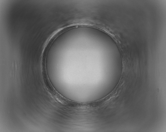 X0000072490200200607140919