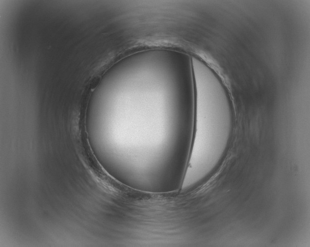X0000072490201200607140919