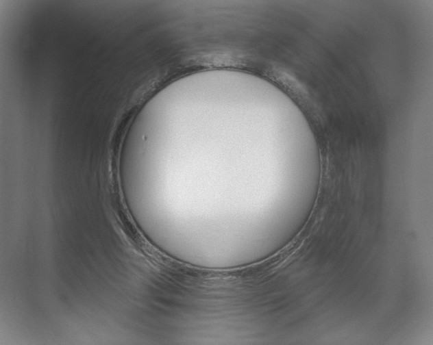 X0000072490202200607140919