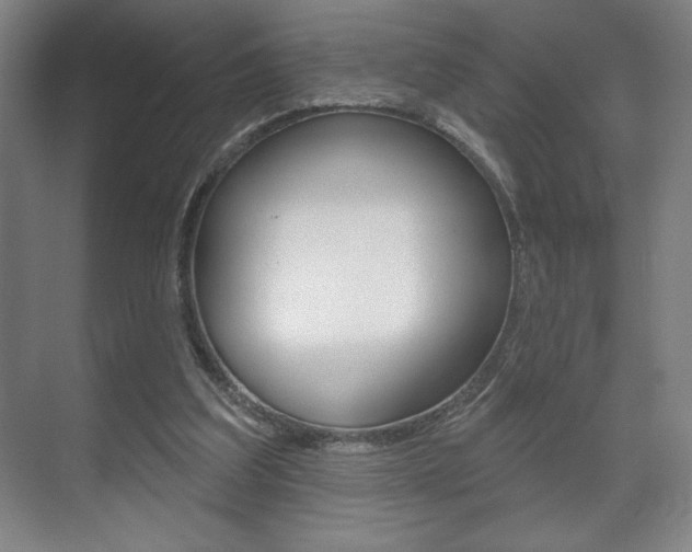 X0000072490203200607140919