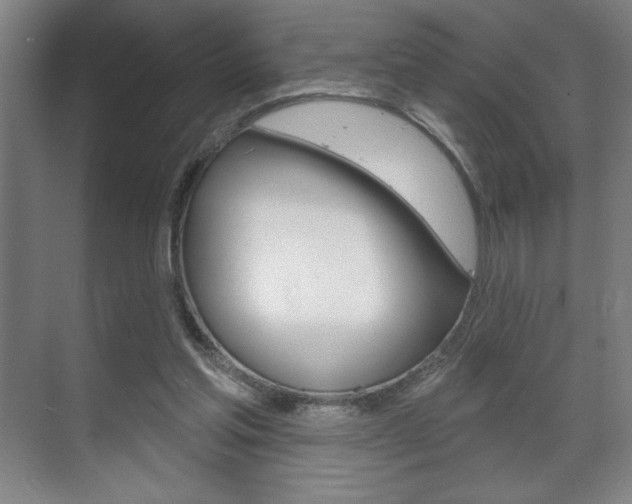 X0000072490205200607140919