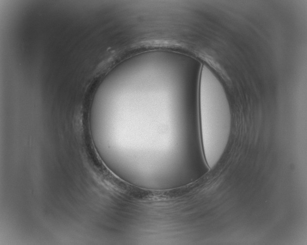 X0000072490207200607140919