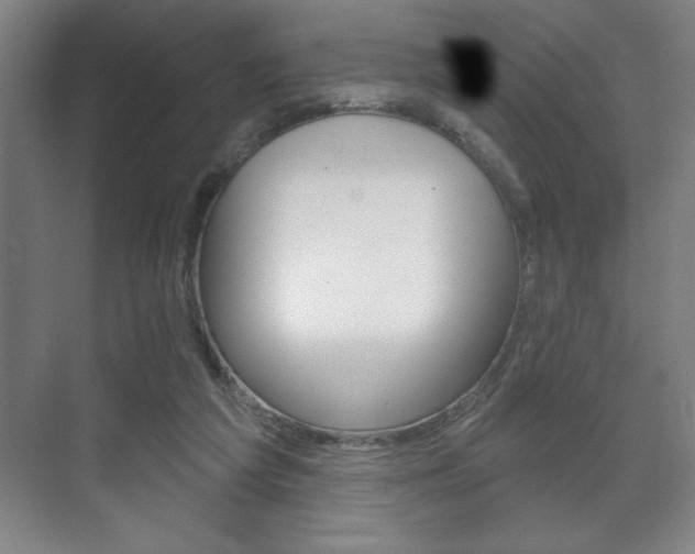 X0000072490209200607140919
