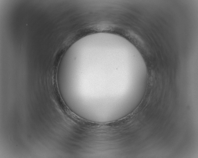 X0000072490210200607140919