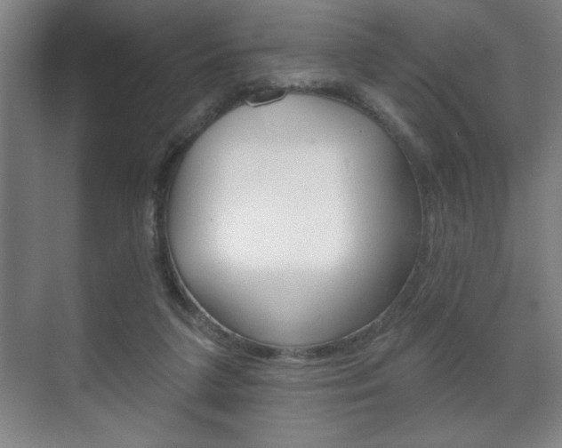 X0000072490211200607140919
