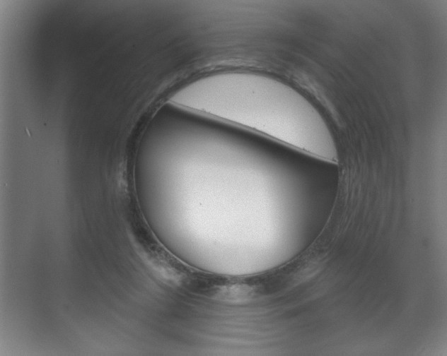 X0000072490212200607140919