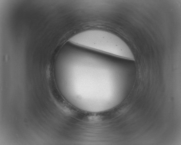 X0000072490216200607140919