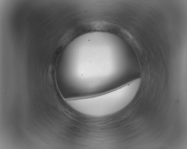 X0000072490217200607140919