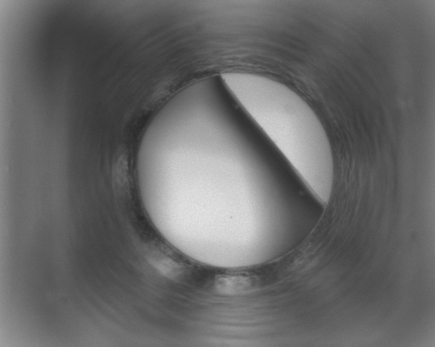 X0000072490220200607140919