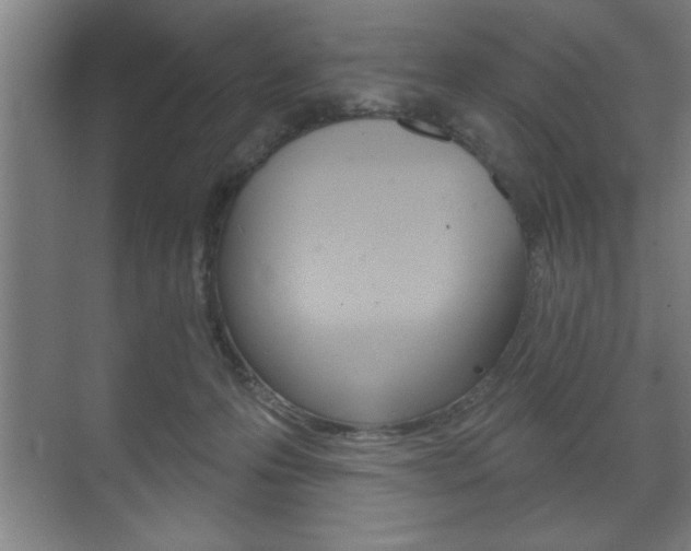 X0000072490223200607140919