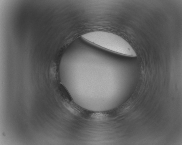 X0000072490231200607140918