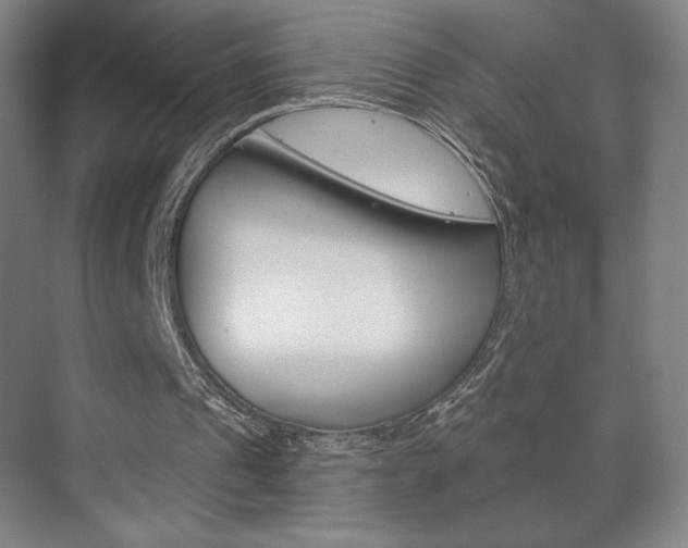 X0000072490241200607140918