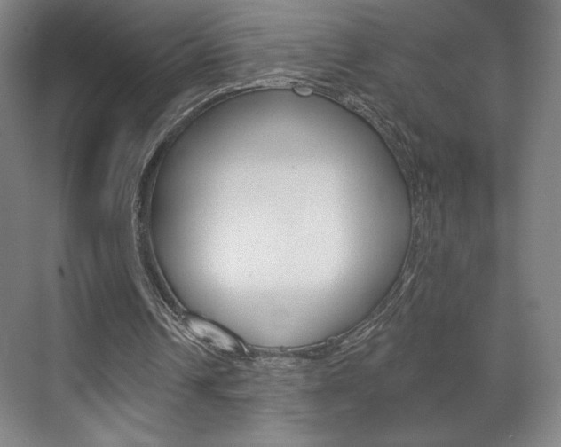 X0000072490242200607140918