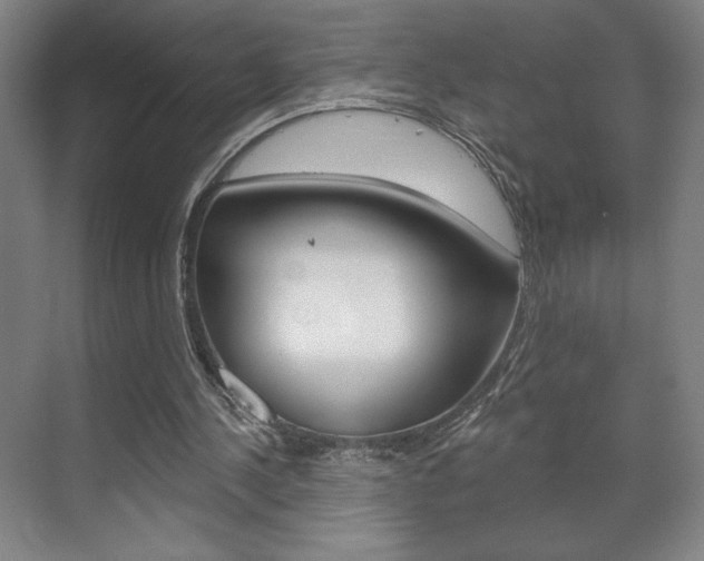 X0000072490244200607140918