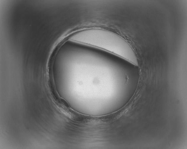 X0000072490246200607140918