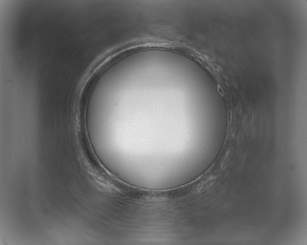 X0000072490247200607140918