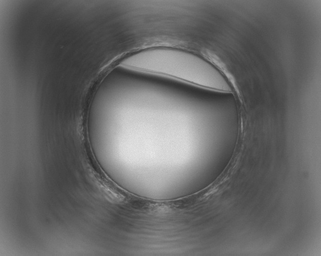 X0000072490249200607140918