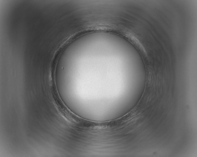 X0000072490251200607140918