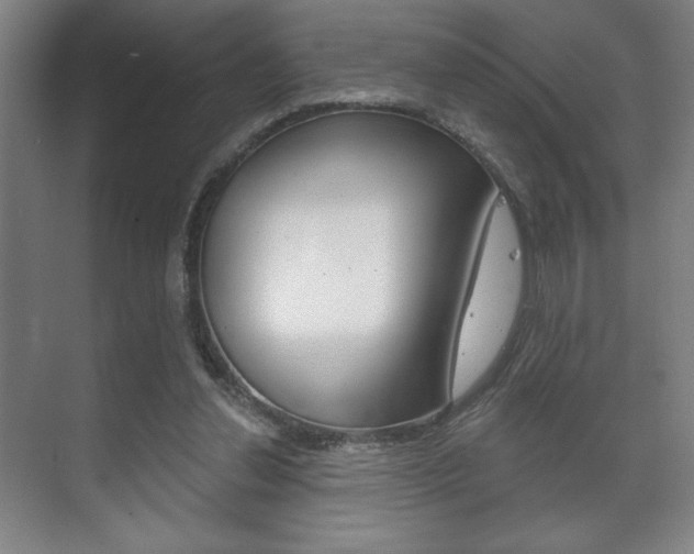 X0000072490252200607140918