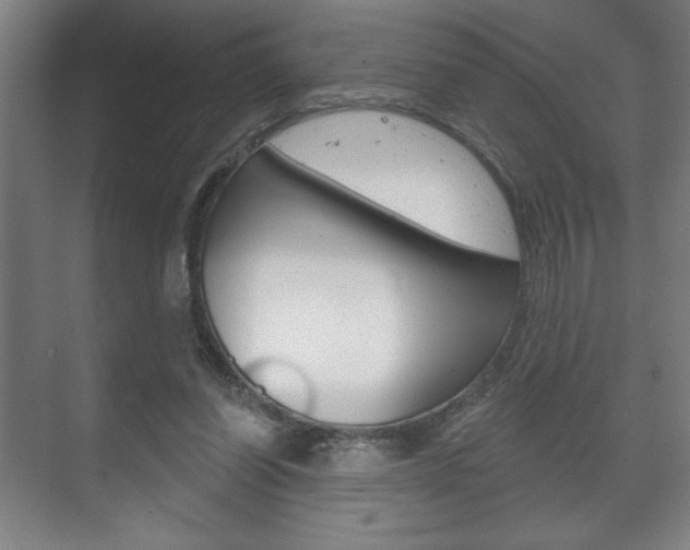 X0000072490254200607140918