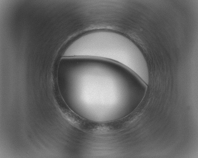 X0000072490256200607140918