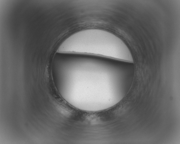 X0000072490258200607140918
