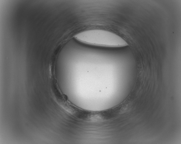 X0000072490262200607140918