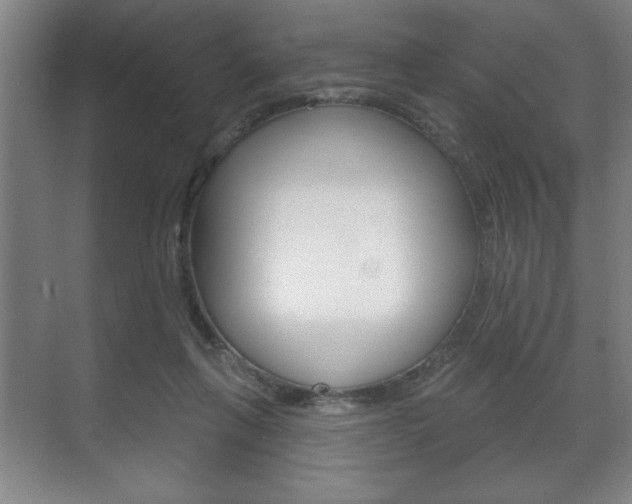 X0000072490263200607140918