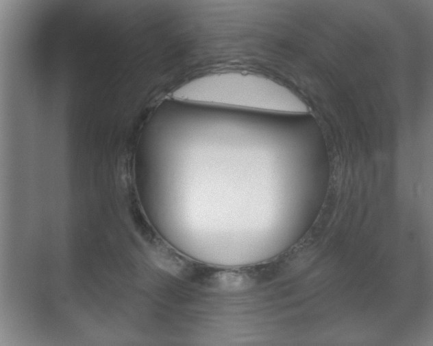 X0000072490272200607140918