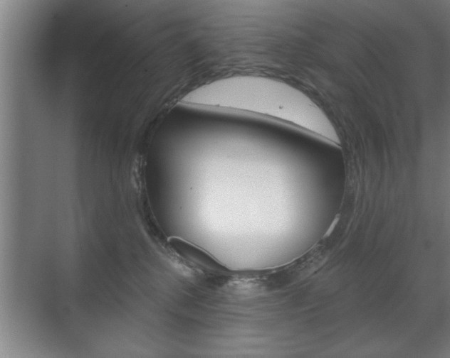 X0000072490280200607140918