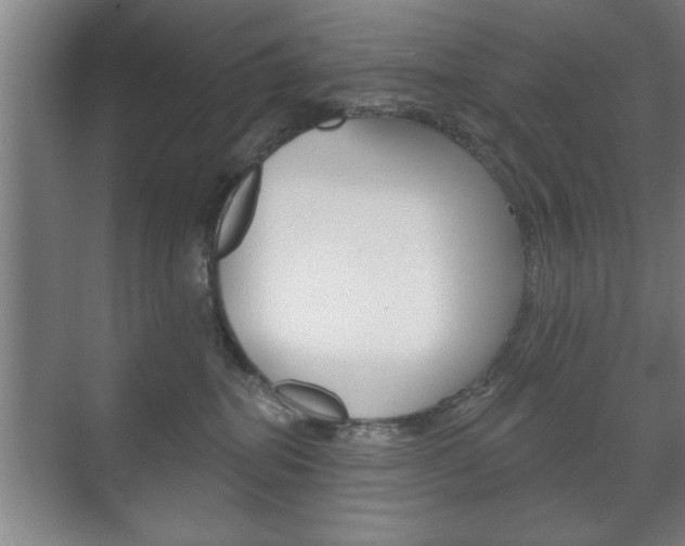 X0000072490282200607140918