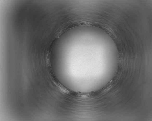 X0000072490285200607140918