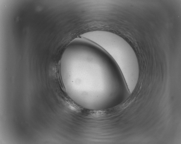 X0000072490288200607140918