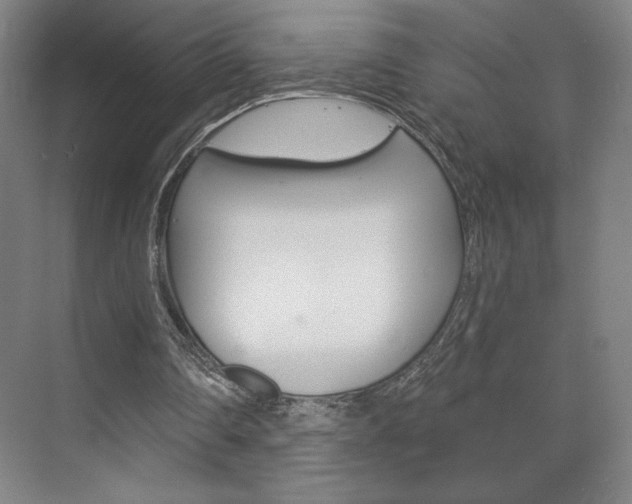 X0000072490290200607140917