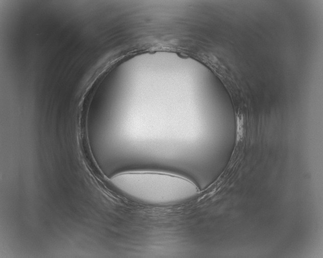 X0000072490291200607140917