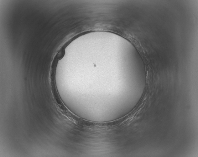 X0000072490292200607140917