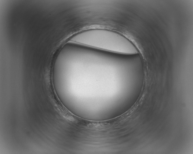 X0000072490297200607140917