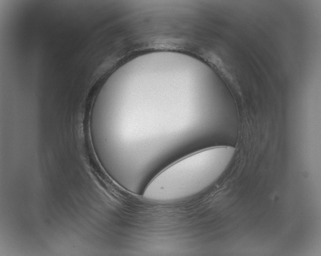 X0000072490299200607140917