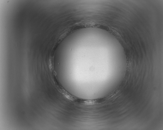 X0000072490335200607140917