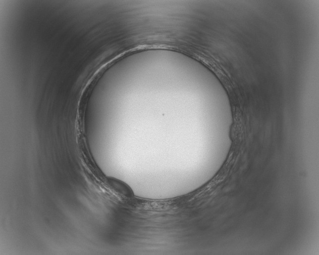 X0000072490338200607140916