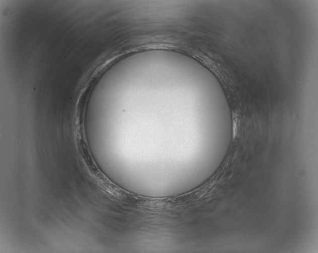 X0000072490339200607140916